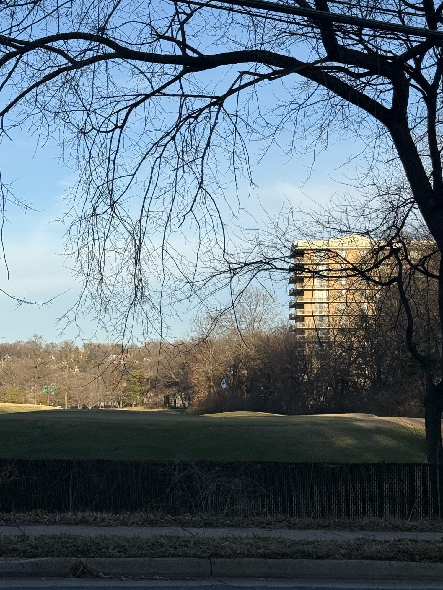 Dolley Madison Pref 2