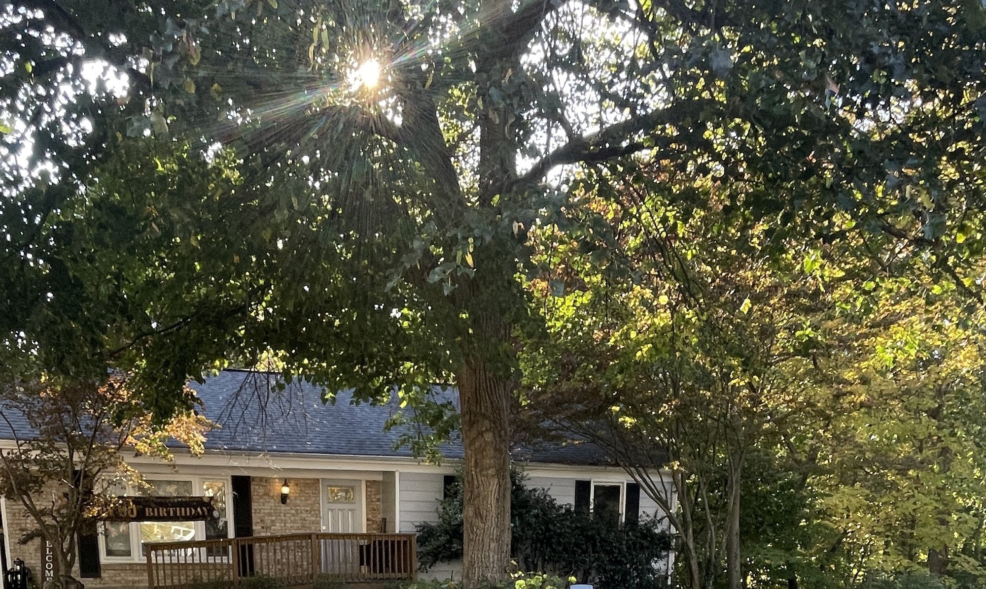 Ridge Ford Front Yard